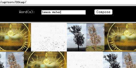 query: "lemon water"